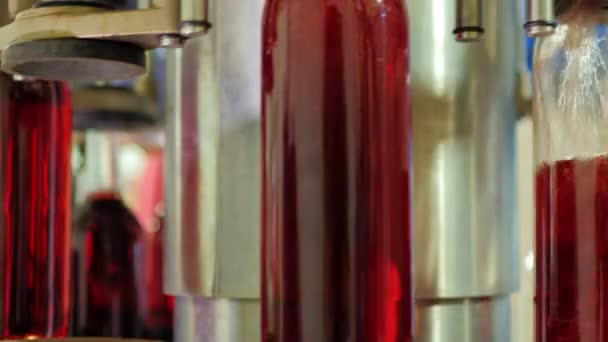 Close-up of automated conveyor element by pouring wine. Tilt camera — Stock Video