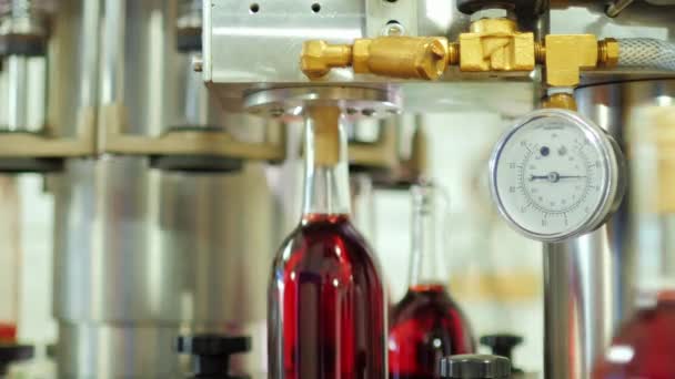 Bottles of red alcohol stoppered. In the foreground conveyor element - gauge — Stock Video