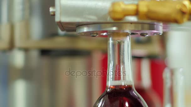 Botella con alcohol rojo rosa en el transportador. Primer plano — Vídeos de Stock