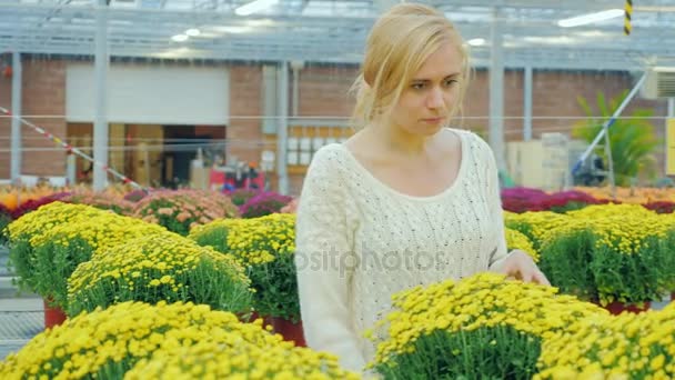 Ung attraktiv kvinna ser blommor i plantskolan — Stockvideo