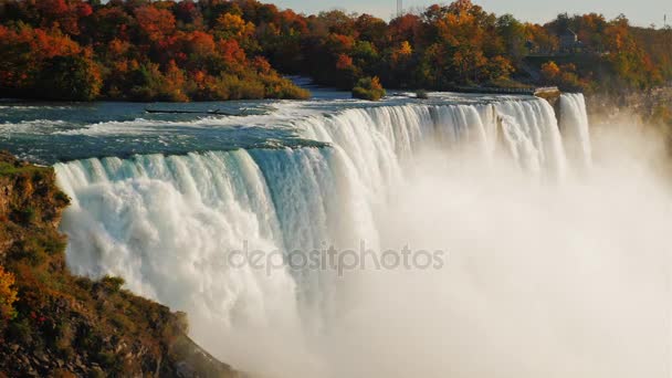 Niagarafallen i höst. Det snabba flödet av vatten och hösten skogen — Stockvideo