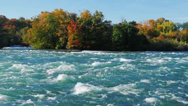 A Niagara folyó vízesés előtt tomboló zuhatag — Stock videók