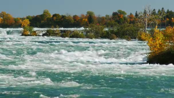 滝の前にナイアガラ川の流入の 1 つ。秋晴れの日 — ストック動画
