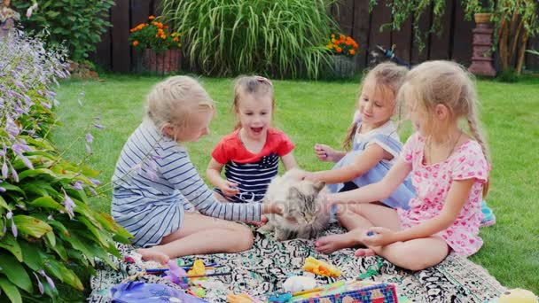 Vier Freundinnen im Alter von 3-6 Jahren spielen mit einer Katze im Hof, sitzen auf dem Rasen und streicheln Katze — Stockvideo