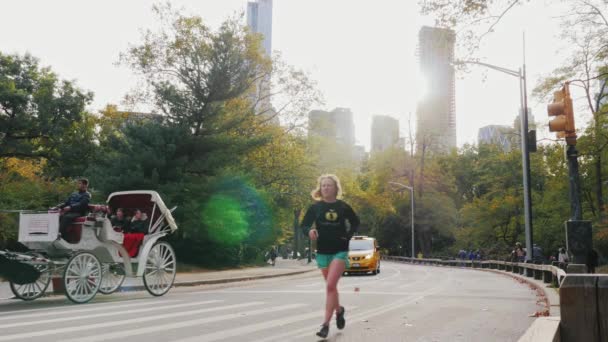 New York, USA - OKT, 2016: Serata a Central Park. I turisti cavalcano su un carro con un cavallo. Cavalcare taxi gialli, una donna impegnata nel jogging — Video Stock