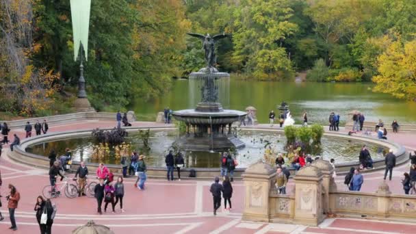 Nueva York, EE.UU. - OKT, 2016: Día claro de otoño en Central Park La gente y los turistas caminan alrededor de la fuente — Vídeos de Stock