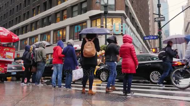 New York, USA - OKT, 2016: Gente sotto la pioggia. Attraversare la strada a Manhattan, West Street — Video Stock