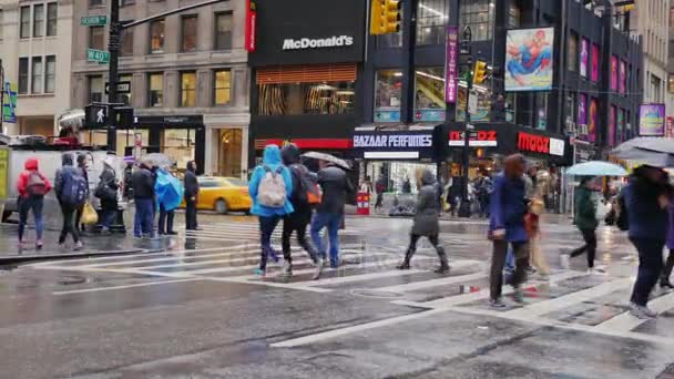 New York, Verenigde Staten - Okt, 2016: Mensen met paraplu's uit regen snel gaan door de straten van Manhattan — Stockvideo