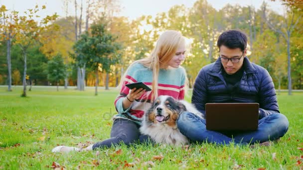 Молодая межрасовая пара отдыхает в парке с собакой. Азиатский мужчина пользуется ноутбуком, женщина - планшетом — стоковое видео