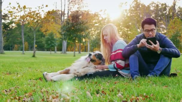 Міжрасові молода пара, відпочиваючи в парку з собакою. Азіатських людині використовує планшет, жінка гладить собаку — стокове відео
