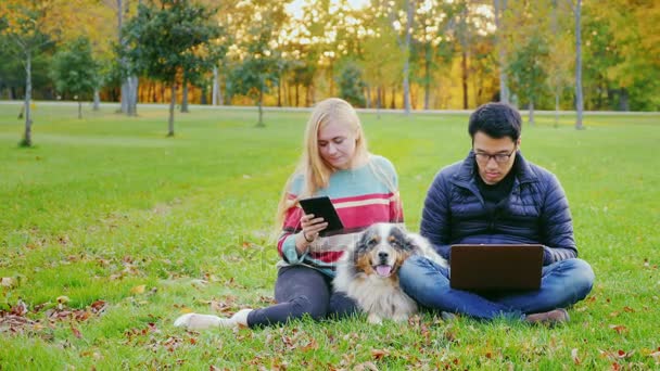 Freunde entspannen auf der Liegewiese im Park. Mit ihnen, dem Hund, benutzt der Mann einen Laptop — Stockvideo