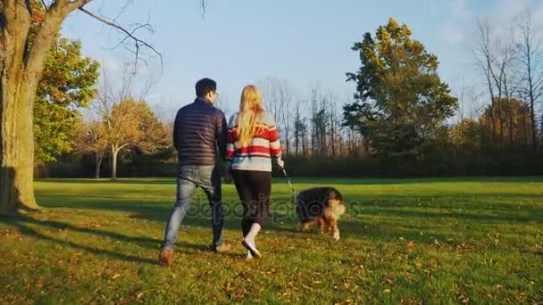 Багатоетнічна пара гуляє з собакою в осінньому парку — стокове відео
