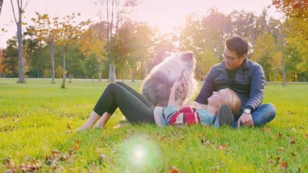 Multinational friends relaxing in a park. Autumn day at sunset. With them, a dog, a woman uses tablet — Stock Video