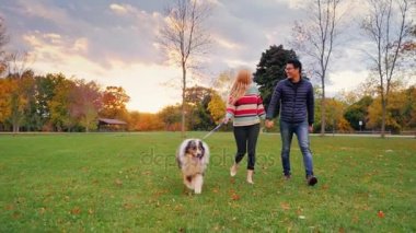Genç kaygısız çift ile bir köpek parkta yürüyüş. Steadicam atış