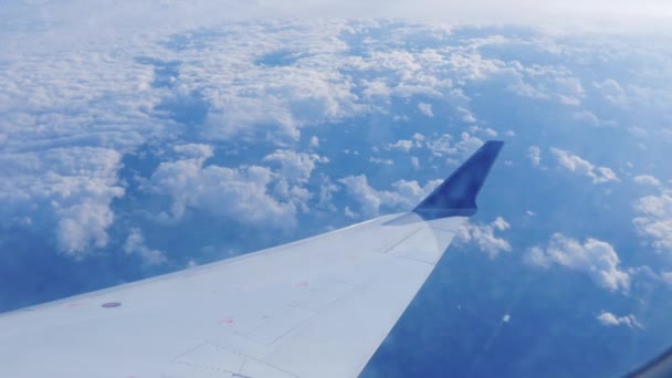 Flygplan flyger över molnen — Stockvideo