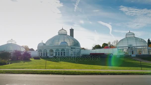 Büffel, New York - Okt 2016: Der botanische Garten des Büffels und der Region — Stockvideo