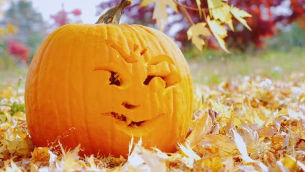 Dyni rzeźbione z śmieszną twarz. Symbole jesień i Halloween — Wideo stockowe