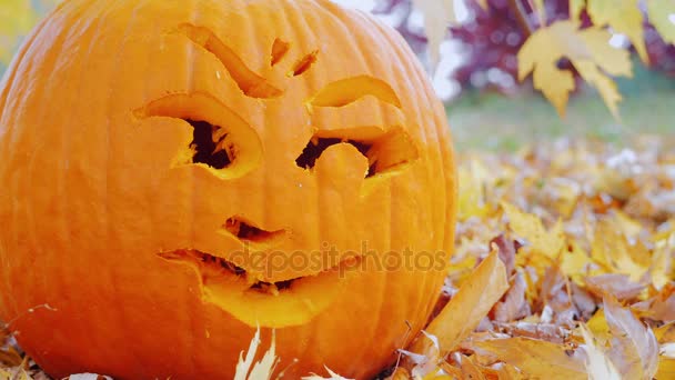 Close-up gezicht gesneden in een pompoen. Halloween symbool — Stockvideo