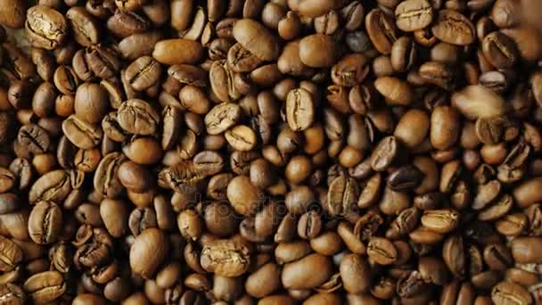 З різних сортів кавові зерна падають зверху і обертаються — стокове відео