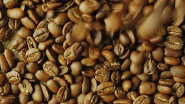 Robusta tahıl tahıl Arabica kahve aşağı düşmek. Farklı çeşitleri için daha iyi tat karıştırma