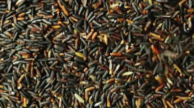 Düşen siyah pirinç taneleri. Arka planı seçili pilav ile döner