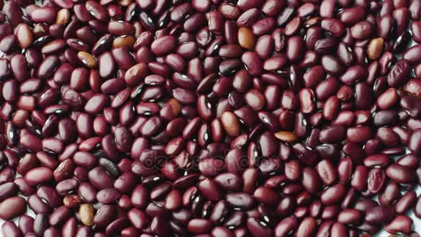 붉은 콩, 건강 한 단백질 식품 — 비디오