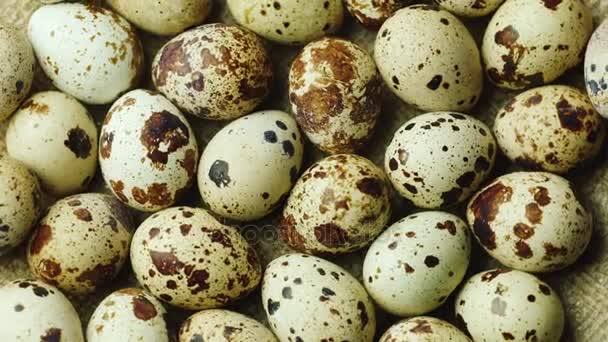 Не вареные перепелиные яйца. Диетические продукты — стоковое видео