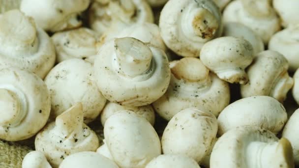 Frisch geschnittener Champignon — Stockvideo