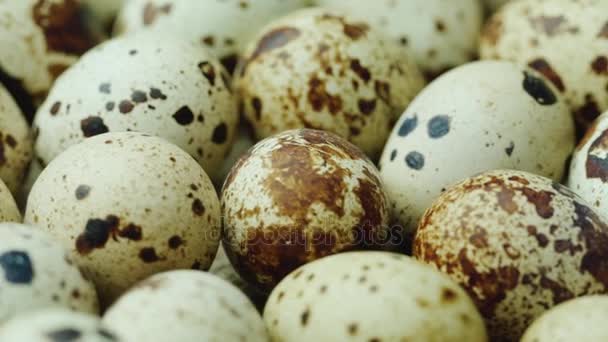 Muchos huevos de codorniz. Alimentación y dieta saludables — Vídeos de Stock