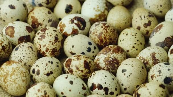 Useful food with lots of vitamins. Quail eggs — Stock Video