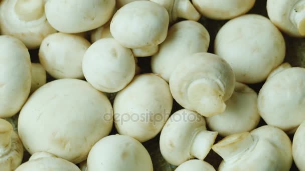 Witte champignons, gewassen — Stockvideo