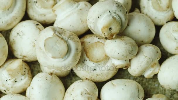 最近切新鲜蘑菇 — 图库视频影像