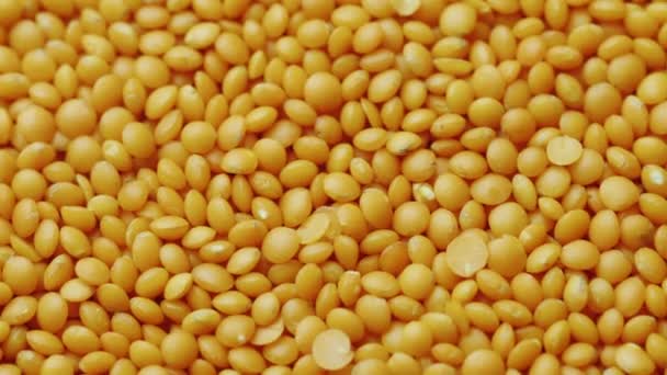 Yellow Lentils. Background of organic food, rotates — Stock Video