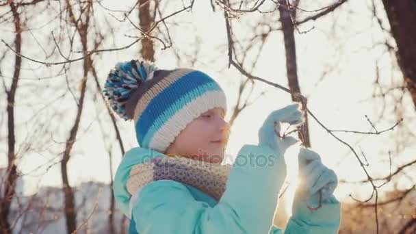 Fille cinq ans, il aime venir l'hiver. Il joue avec une branche d'arbre où il y a du gel, du soleil avant le coucher du soleil — Video