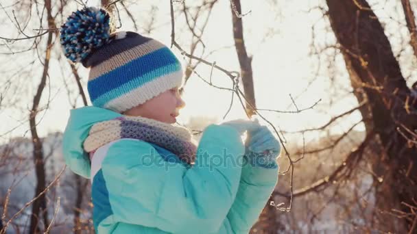 Chica juega con una rama cubierta de nieve de un árbol en los rayos del sol poniente. Alegría invierno — Vídeos de Stock