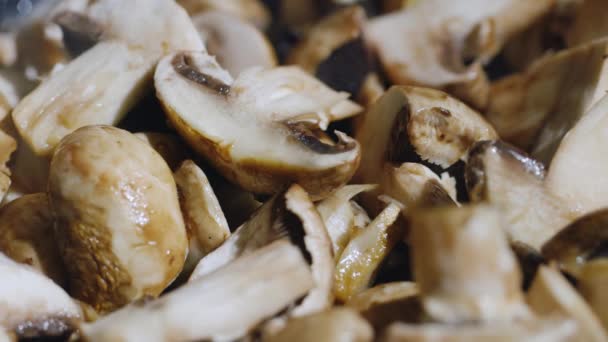 Segmenten van heerlijke verse champignons gebakken in een pan. heerlijk koken — Stockvideo