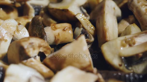 Funghi succosi moderatamente arrostiti cotti su una padella — Video Stock