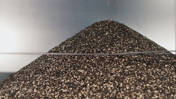 The shell sunflower seeds in a heap fray. The waste in the production of sunflower oil and seeds cleaning — Stock Video