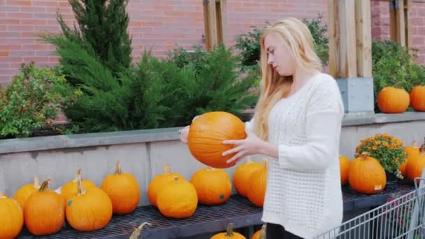 Junge Frau kauft zu Halloween Kürbisse. Amerikanische Traditionen und festliches Shopping — Stockvideo