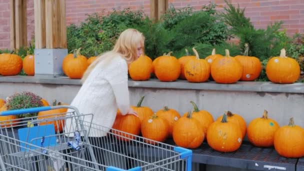 Młoda kobieta wybiera dyni w święto Halloween, umieszcza je w koszyku na zakupy. W pobliżu supermarket, duży wybór dynie — Wideo stockowe