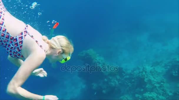 Eine junge Frau taucht mit Maske und Schlauch zwischen exotischen Fischen und Korallen. toller Urlaub und Tauchen — Stockvideo