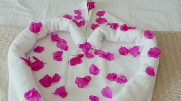 Μια ευχάριστη έκπληξη από το ξενοδοχείο για τους επισκέπτες. Καρδιά του έξω από τις πετσέτες και τα πέταλα λουλουδιών. Υπέροχες διακοπές — Αρχείο Βίντεο