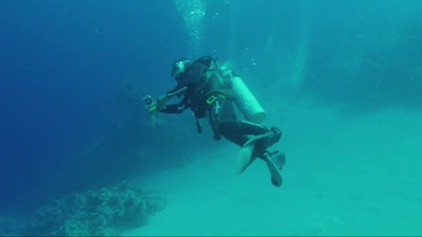 Sharm el Sheikh, Ägypten, März 2017: professioneller Taucher-Fotograf schießt Fotos unter Wasser — Stockvideo