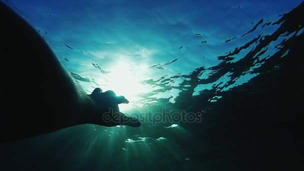 A silhouette of a male cookie reaches out to the rays of the sun under the water. Concept - faith, hope, religion — Stock Video