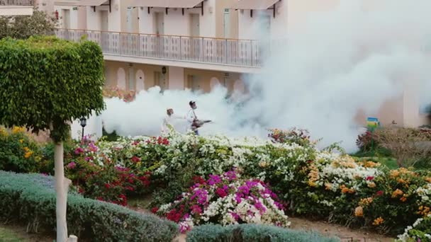 Sharm el Sheikh, Egito, março de 2017: Fumigação do jardim. Dois trabalhadores fumam fumaça arbustos floridos e árvores nos jardins do complexo resort — Vídeo de Stock
