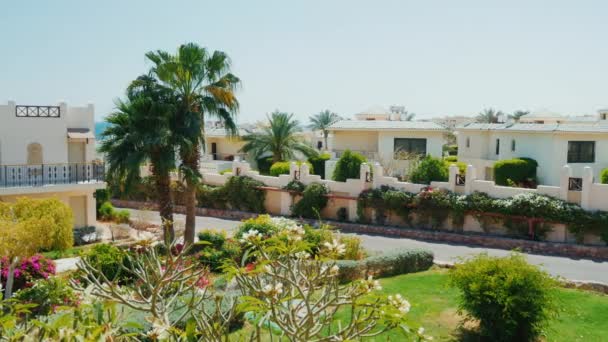 Sharm el Sheikh, Egypte, maart, 2017: gebouwen van een luxe resort. In de buurt groeien palmbomen en veel bloeiende struiken. Pan schot — Stockvideo