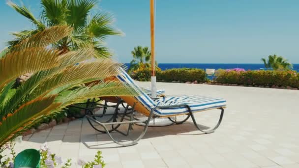 楽園の憩いの場。晴れた日にビーチの傘と青い海。クレーン ショット — ストック動画