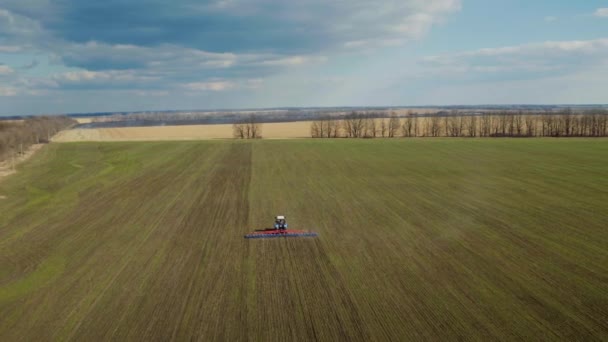 Le ciel bleu et le champ vert ci-dessous dans le jour du printemps. Le tracteur traite le sol ci-dessous, vidéo aérienne pittoresque 