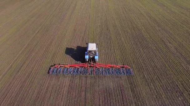 Luchtfoto van de enquête van de trekker die het gebied van wintertarwe cultiveert. Tegen de achtergrond van de grond met nieuw gekiemde spruiten — Stockvideo