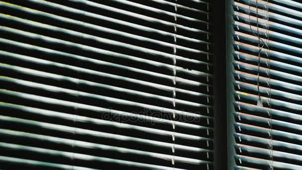 Persianas horizontales abiertas en la ventana. Fuera de la ventana es primavera, un árbol crece con hojas verdes, el sol está brillando — Vídeo de stock